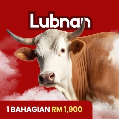 1 Bahagian Lembu Lubnan