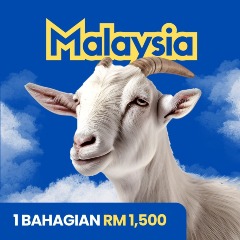 1 Ekor Kambing Malaysia